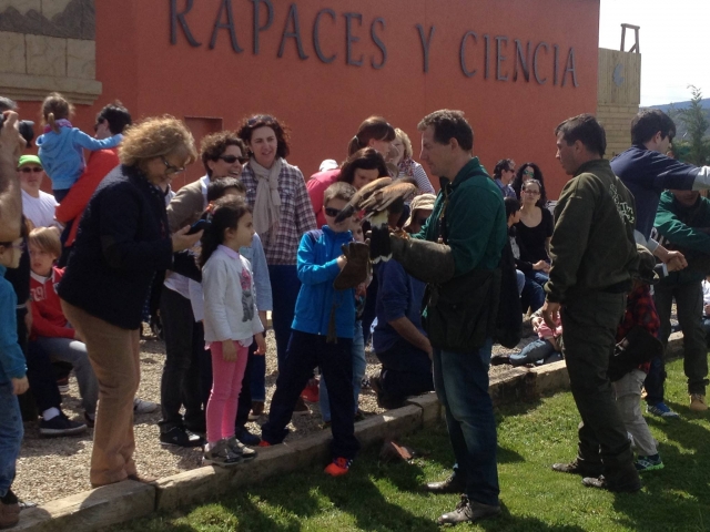 Aves y peques